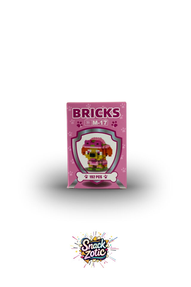 Paw Patrol Skye Bricks Hobi Seti | Snackzotic