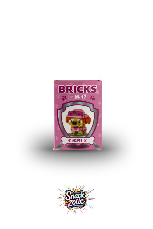 Paw Patrol Skye Bricks Hobi Seti | Snackzotic
