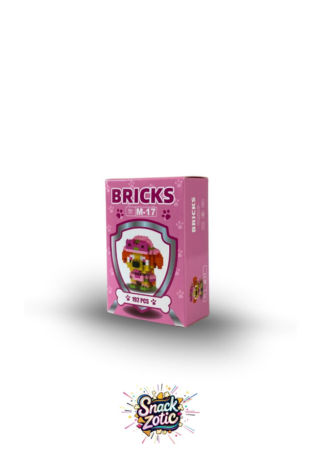 Paw Patrol Skye Bricks Hobi Seti | Snackzotic