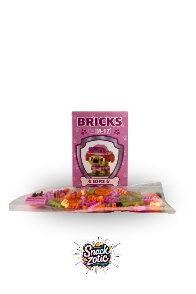 Paw Patrol Skye Bricks Hobi Seti | Snackzotic